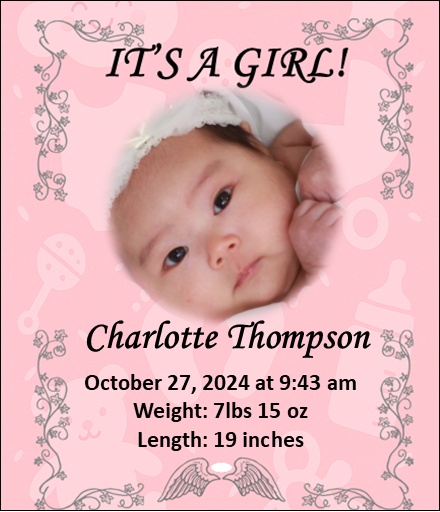 Baby Girl Birth Announcement Magnet - Set of 6