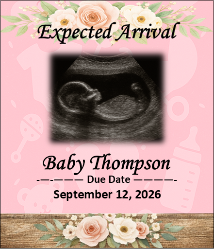 Expected Baby Girl Arrival Announcement Magnet - Set of 6